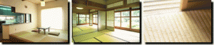 tatami2